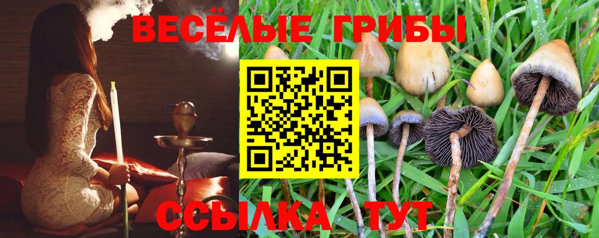 Галлюциногенные грибы мухоморы Набережные Челны