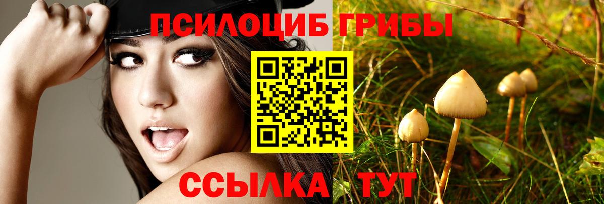 Галлюциногенные грибы мухоморы  Вход с VPN  Набережные Челны 